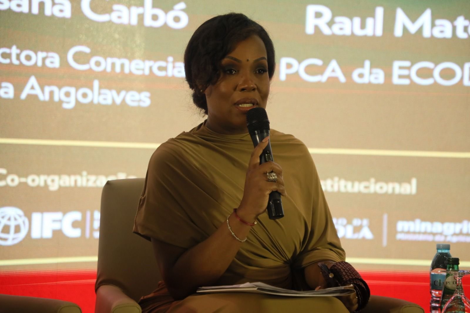 Empresária Elizabeth Dias dos Santos defende necessidade de Angola adoptar um modelo próprio de desenvolvimento da avicultura